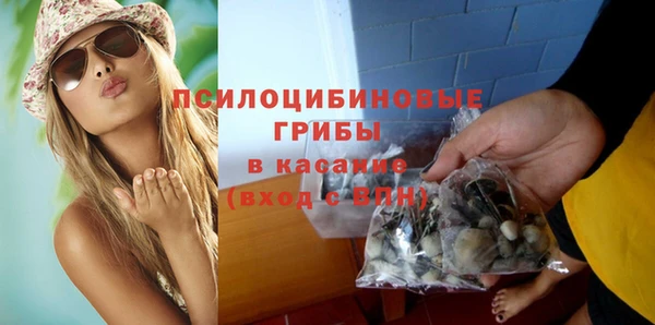 мет Бородино