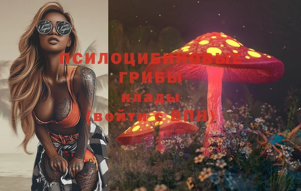 мет Бородино