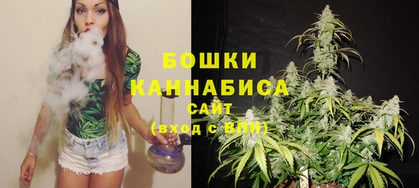 мет Бородино