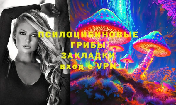 мет Бородино
