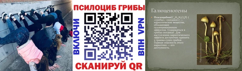 Галлюциногенные грибы GOLDEN TEACHER  где продают наркотики  Кизел 